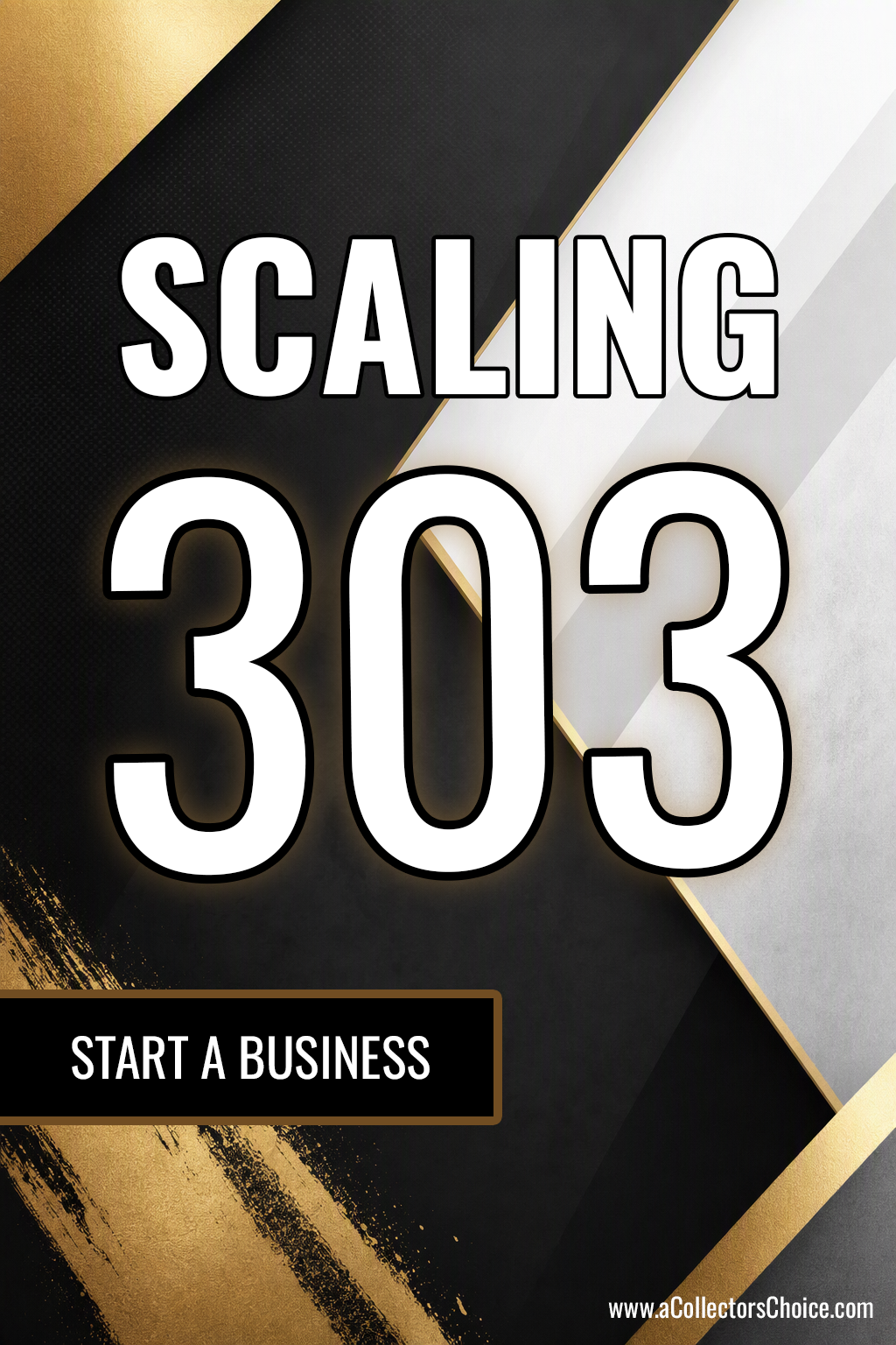 SCALING 303 — Start a Business ebook cover